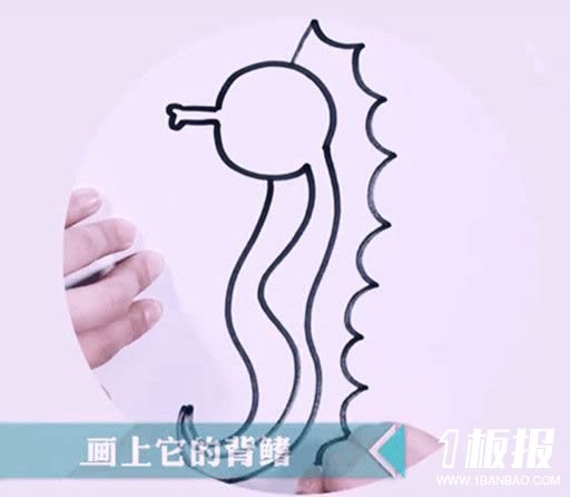 海马简笔画图片