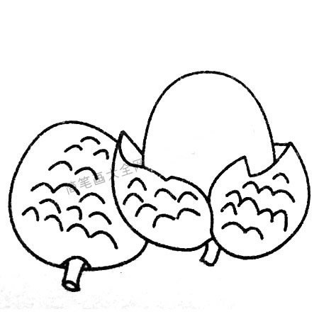 荔枝简笔画大全及画法步骤