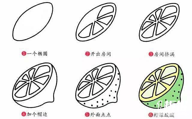 切开的柠檬简笔画