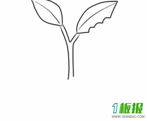 正在吃树叶的虫子简笔画