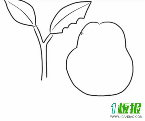 正在吃树叶的虫子简笔画