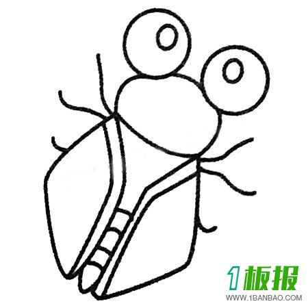 知了的简笔画图片大全
