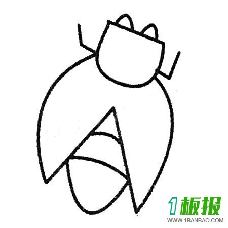 知了的简笔画图片大全