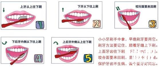 刷牙前用牙刷沾水？教你正确刷牙方法