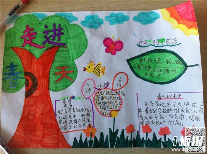 漂亮春天的手抄报图片-鸟语花香的季节