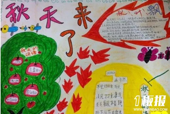 关于秋天来了手抄报-秋的丰收