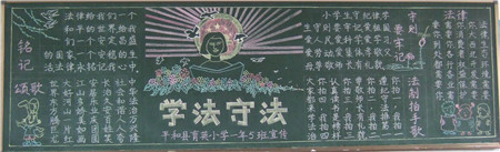 
法制教育黑板报：法律无知者
