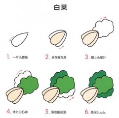 大白菜简笔画教程