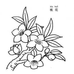 漂亮的粉红色桃花儿童简笔画