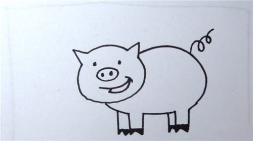 动物小猪的简单简笔画步骤图解6