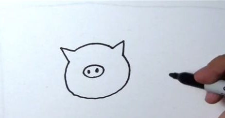 动物小猪的简单简笔画步骤图解2
