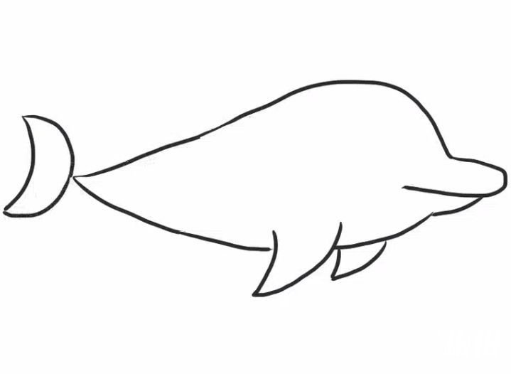 可爱海豚简笔画步骤4