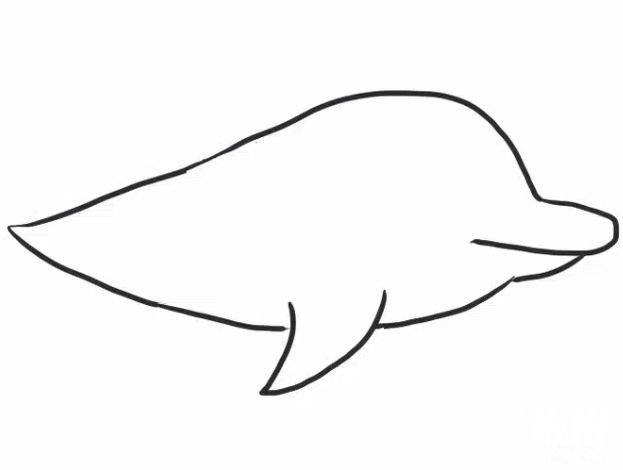 可爱海豚简笔画步骤2