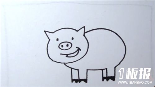 动物小猪的简单简笔画步骤图解5