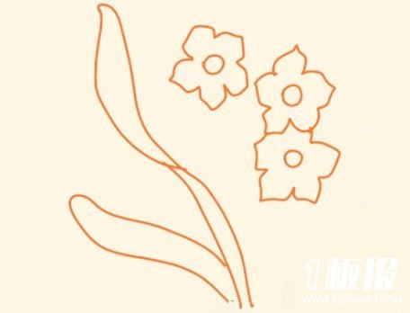 幼儿园花朵水仙简笔画4