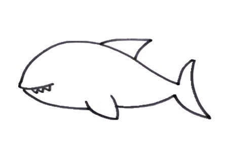 可爱鲨鱼简笔画步骤5