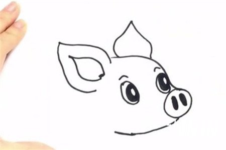 幼儿园卡通小猪简笔画步骤4