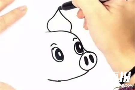 幼儿园卡通小猪简笔画步骤3