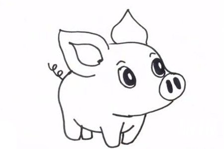 幼儿园卡通小猪简笔画步骤6