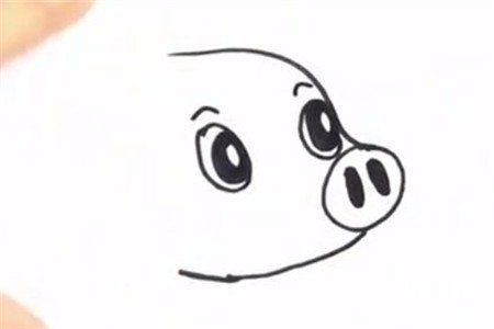 幼儿园卡通小猪简笔画步骤2