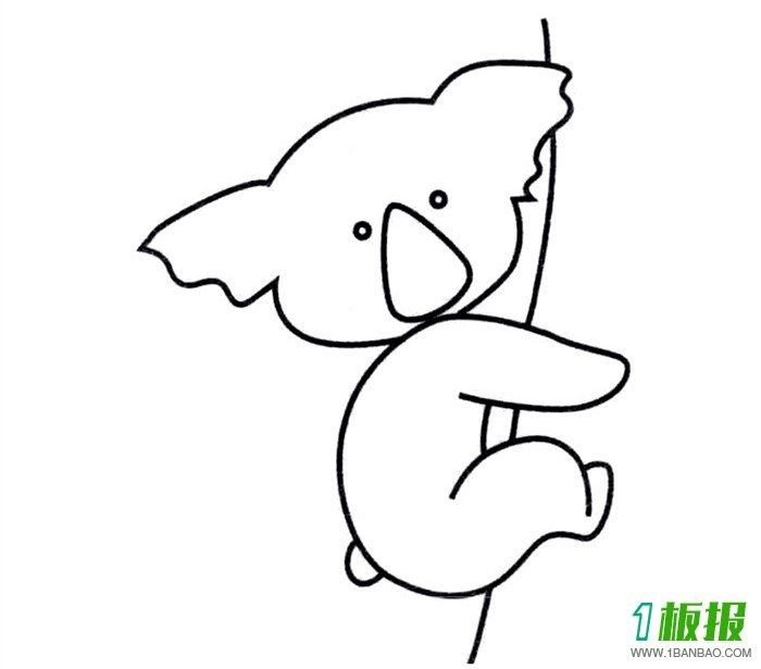 考拉简笔画步骤4