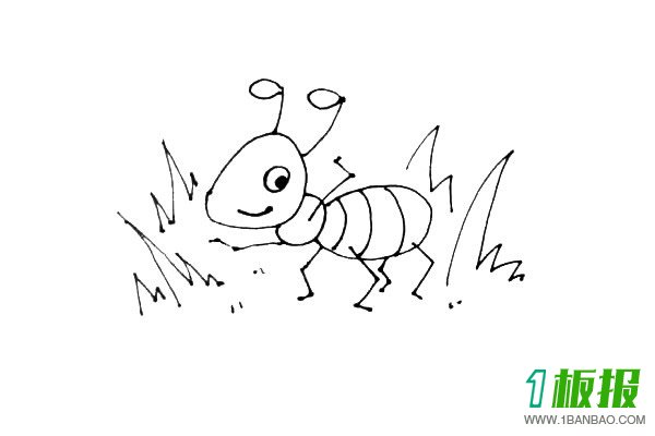蚂蚁彩色简笔画的画法5