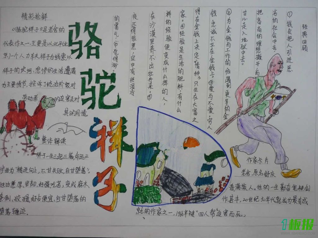 骆驼祥子手抄报图片8