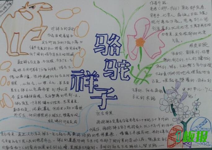 骆驼祥子手抄报图片5