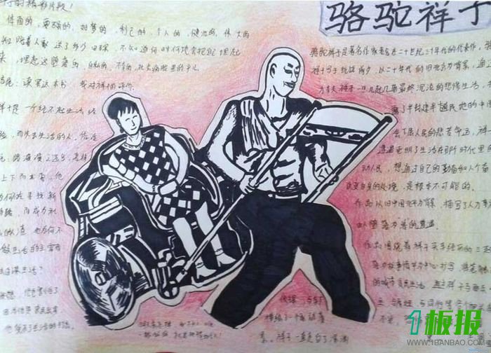 骆驼祥子手抄报图片7