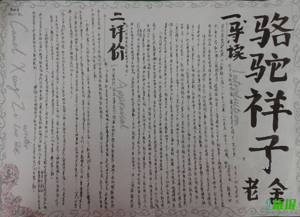 骆驼祥子手抄报图片2