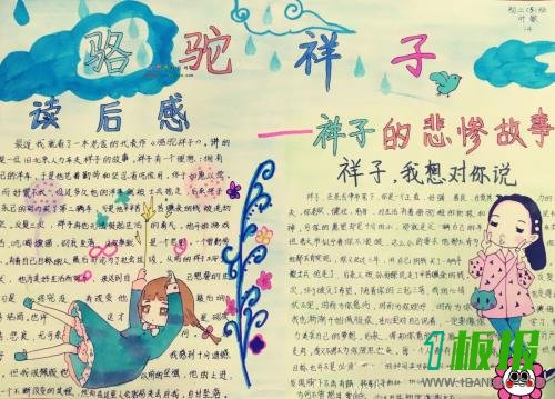 骆驼祥子手抄报图片6