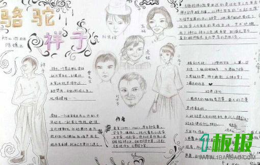 骆驼祥子手抄报图片3