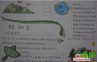 有关中国植树节的手抄报
